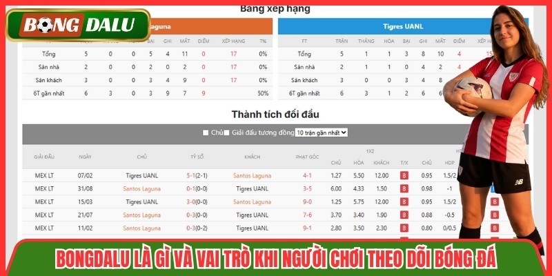 Bongdalu là gì và vai trò khi người chơi theo dõi bóng đá