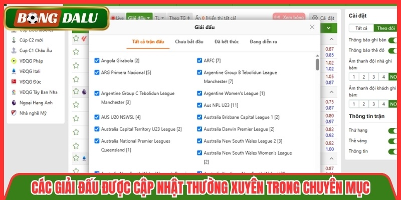 Các giải đấu được cập nhật thường xuyên trong chuyên mục