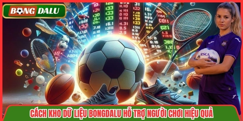 Cách Kho dữ liệu Bongdalu hỗ trợ người chơi hiệu quả