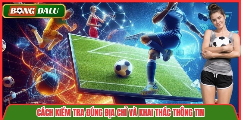Cách kiểm tra đúng địa chỉ và khai thác thông tin