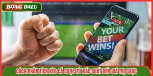 Cách Phân Tích Kèo Cá Cược Từ Xác Suất Đến Giá Trị Cược