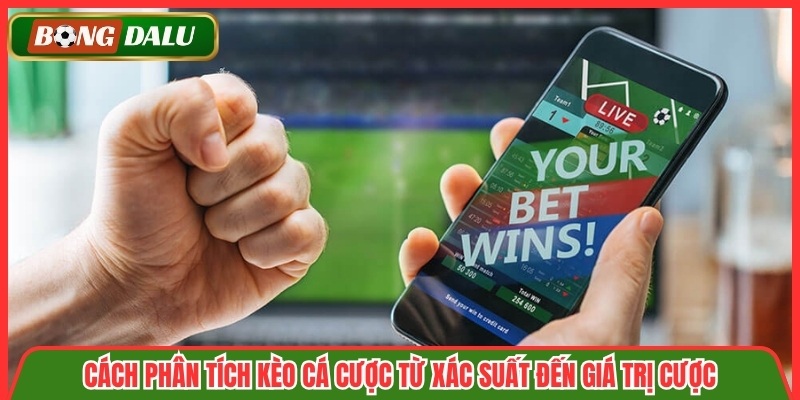 Cách Phân Tích Kèo Cá Cược