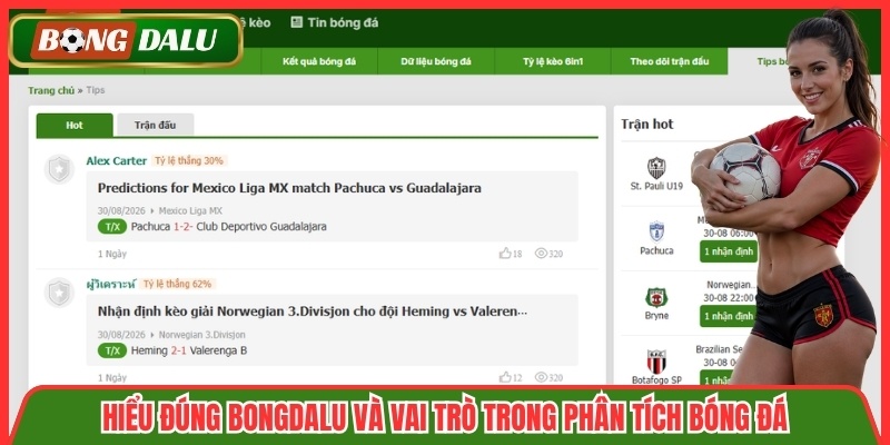 Hiểu đúng Bongdalu và vai trò trong phân tích bóng đá