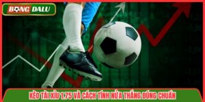 Kèo Tài Xỉu 1.75 Và Cách Tính Nửa Thắng Đúng Chuẩn