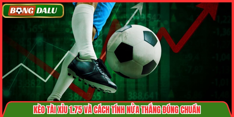 Kèo Tài Xỉu 1.75