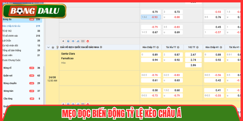 Mẹo đọc biến động tỷ lệ kèo châu Á