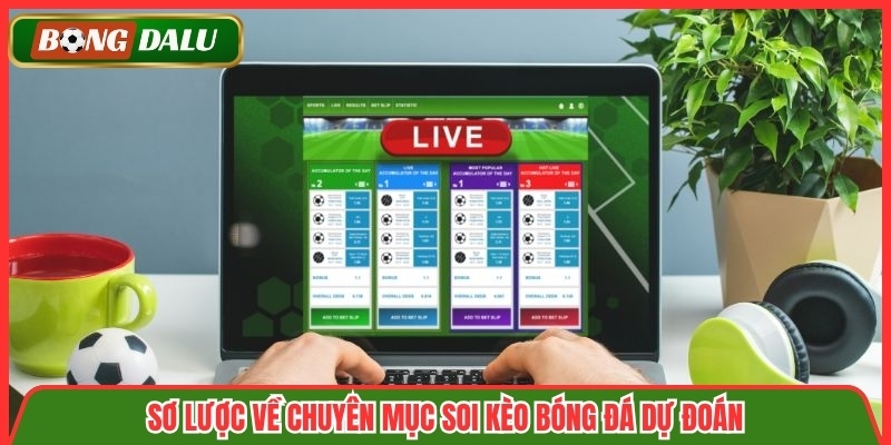Sơ lược về chuyên mục soi kèo bóng đá dự đoán