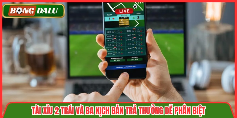 Tài Xỉu 2 Trái Và Ba Kịch Bản Trả Thưởng Dễ Phân Biệt