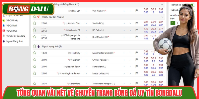 Tổng quan vài nét về chuyên trang bóng đá uy tín Bongdalu