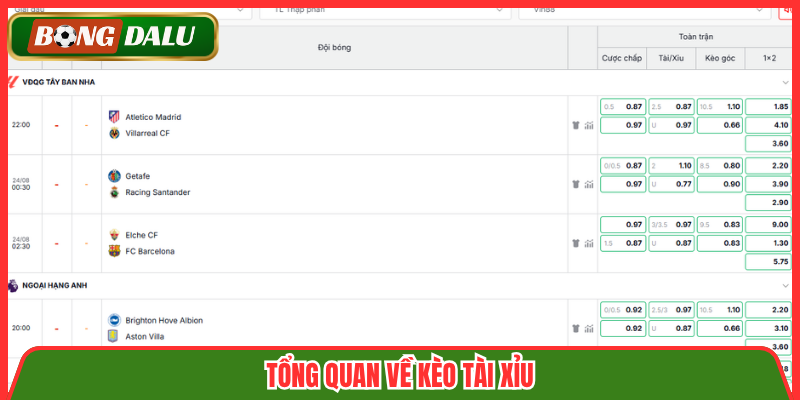 Tổng quan về kèo tài xỉu