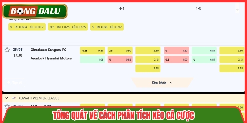 Tổng quát về cách phân tích kèo cá cược