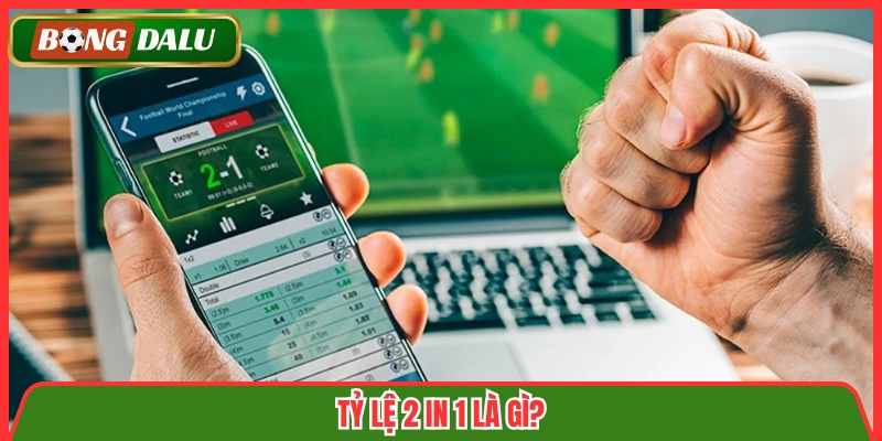 Tỷ lệ 2 in 1 là gì?