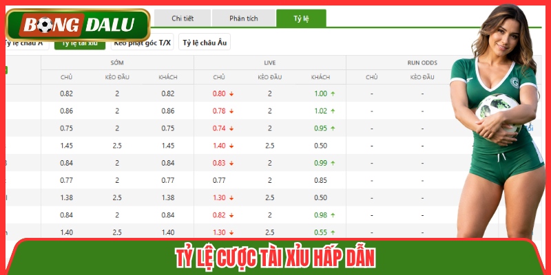 Tỷ lệ cược tài xỉu hấp dẫn