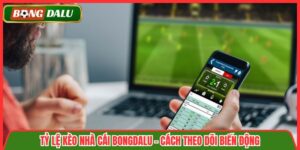 Tỷ Lệ Kèo Nhà Cái Bongdalu – Cách Theo Dõi Biến Động